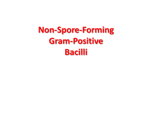 Non-Sporing Gram positive bacilli