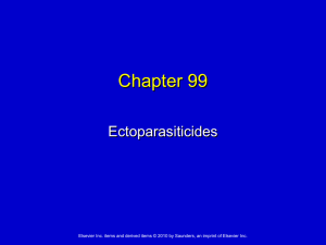 Chapter_099
