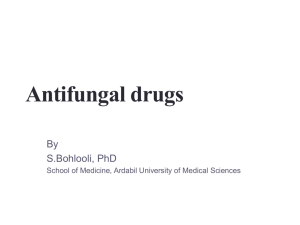 Antifungal Drugs: Classification, Mechanism & Uses