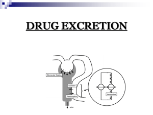 Drug Excretion: Renal & Non-Renal Routes Explained