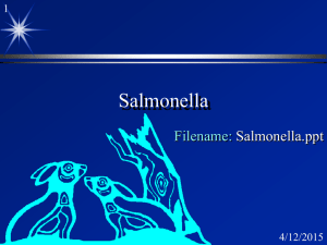 Salmonella