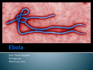 Ebola