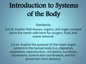 Human Body Systems: An Introduction