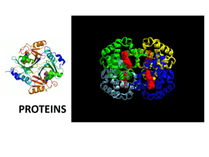 Proteins