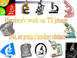 Hershey`s work on T2 phage: