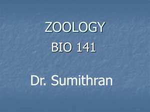 Zoology: Properties of Life, Evolution, & Classification
