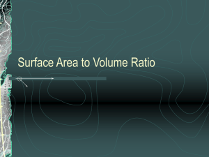 Surface Area to Volume Ratio