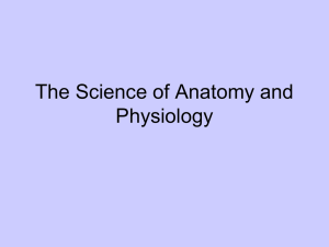The Science of Anatomy and Physiology