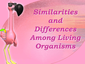 Cell Biology: Similarities & Differences in Living Organisms