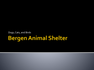Animals