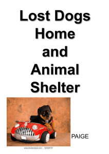 Lost Dogs Home and Animal Shelter