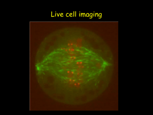 Live Cell Imaging