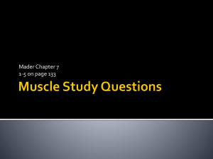 Muscle Physiology: Types, Contraction, & Energy