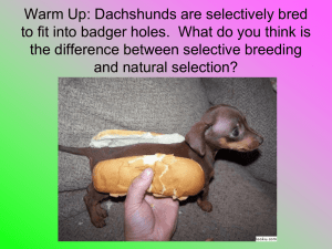 RP: From what you have read in your text about Evolution compared