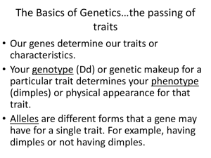 Genetics Basics: Punnett Squares & Pedigree Charts