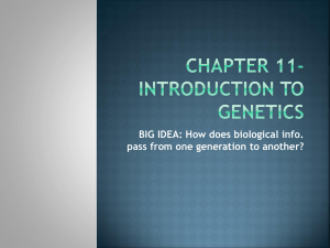 Genetics: Heredity, Mendel's Laws, and Meiosis