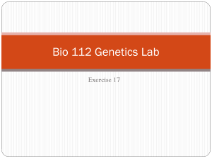 Lab Exercise #17