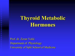 Thyroid Metabolic Hormones