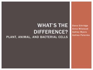 What*s the difference? Plant, animal, and bacterial cells