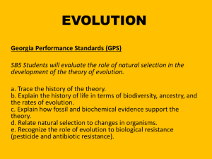 Evolution EOCT