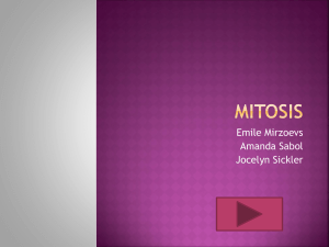 Mitosis Emile, Amanda, Jocelyn