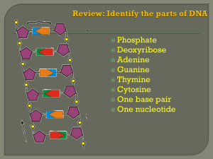 objective 3 - protein synthesis