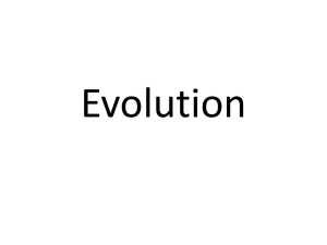 Evolution - Gander biology