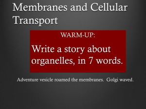 11/3 Cell Membranes, osmosis & diffusion