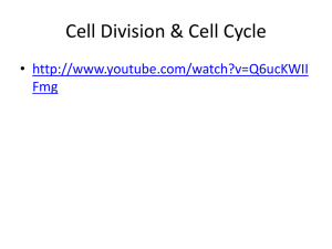 Chapter 12: The Cell Cycle