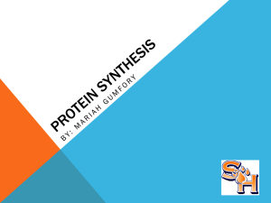 Protein Synthesis: Transcription & Translation Explained