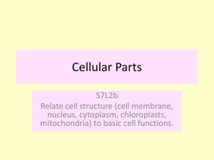 Cellular Parts - Bibb County Schools