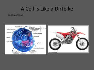 Cell Analogy: Cell vs. Dirtbike - Biology for Kids