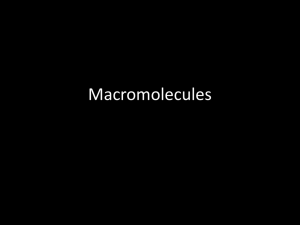 Macromolecules: Carbohydrates, Lipids, Proteins, Nucleic Acids
