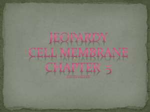 Jeopardy Cell Membrane Chapter 5 Jordyn Gardner