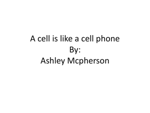 Cell vs. Cell Phone Analogy: Biology Presentation