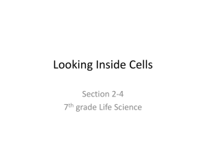Cell Structure & Function: 7th Grade Life Science