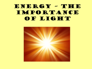 Energy Flow in Ecosystems: The Importance of Light