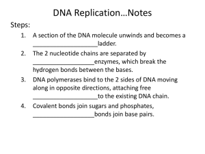 DNA Replication, Transcription & Translation Notes