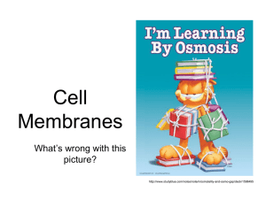 Membrane Modelling?