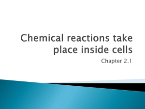 Cell Chemistry: Organic Molecules & Composition