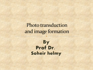 phototransduction