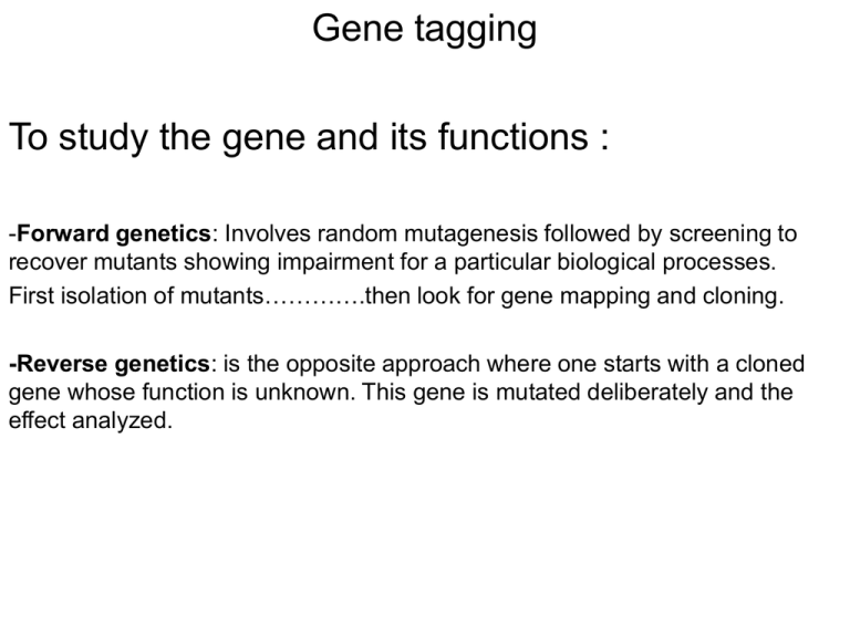 Gene Tagging Dr H S Parmar 