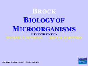 Microbiology: Cell Structure, Growth, and Environmental Factors