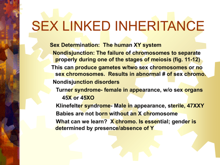 Sex Linked Inheritance