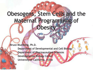 Bruce Blumberg, PhD, University of California - Irvine