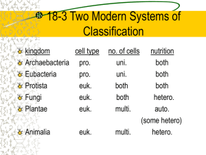 Kingdoms of Life: Classification Systems Explained