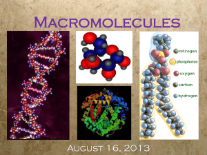 Macromolecules: Structure and Function