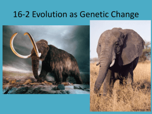 Genetic Change & Evolution: Natural Selection & HWP