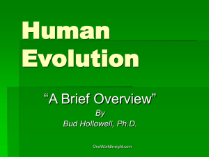 Human Evolution - One World Insight