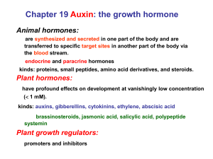 Auxin: The Plant Growth Hormone - Presentation